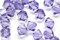 100pcs Authentic Preciosa 3mm (0.12 Inch) Small Faceted Bicone Crystal Beads Tanzanite Compatible with Swarovski Crystals 5301/5328 Pre-B326